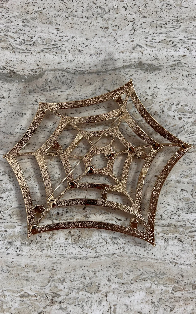 Vintage Pierre Lang Statement Spiderweb Brooch