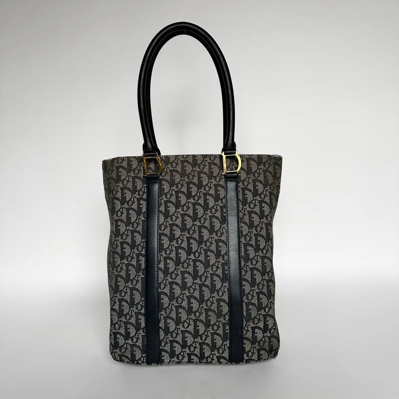 Dior Shopper Schräge Leinwand