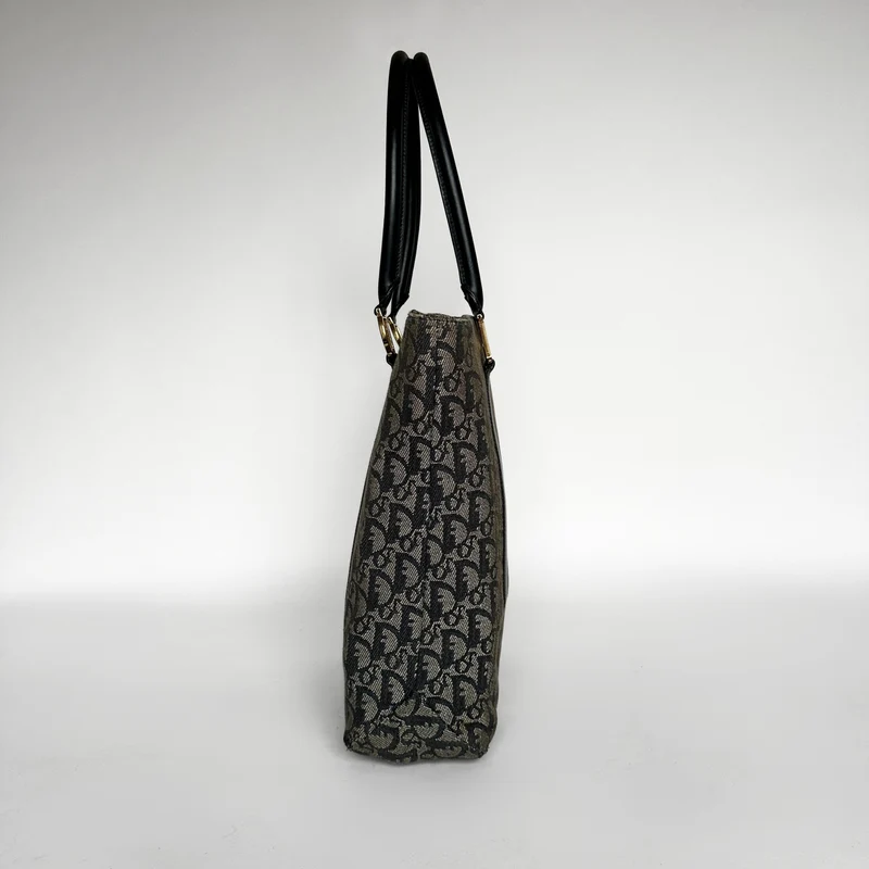 Dior Shopper Schräge Leinwand