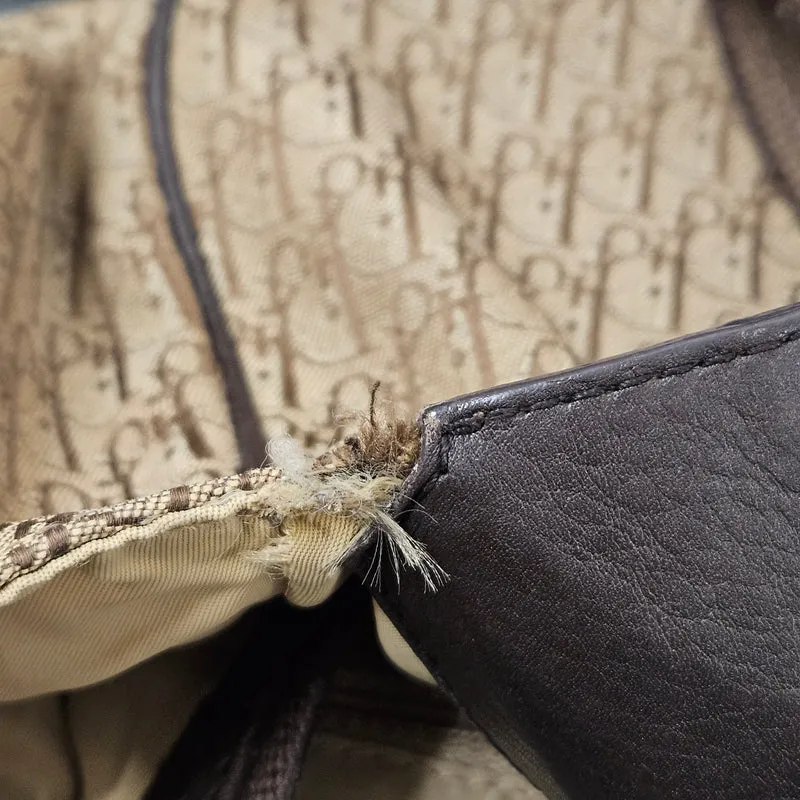 Christian Dior Oblique Monogram Canvas Street Chic Shoulder Bag