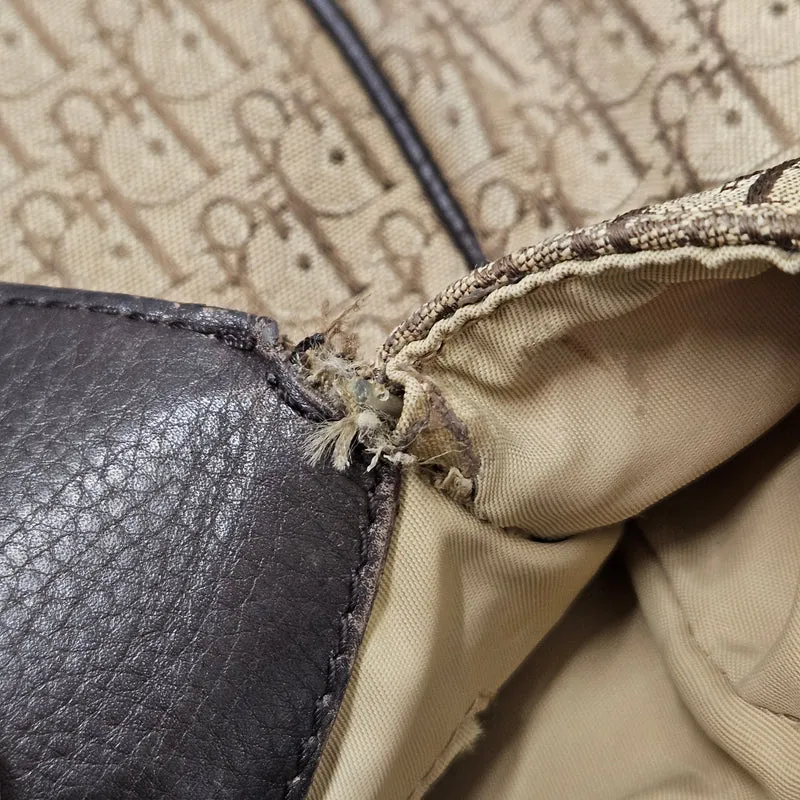 Christian Dior Oblique Monogram Canvas Street Chic Shoulder Bag