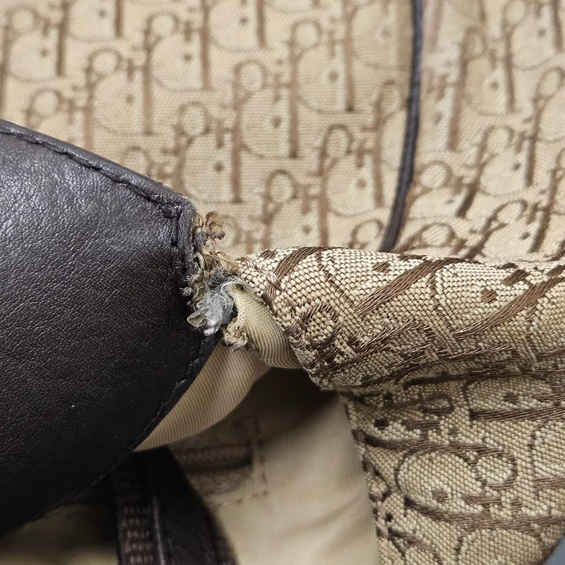 Christian Dior Oblique Monogram Canvas Street Chic Shoulder Bag