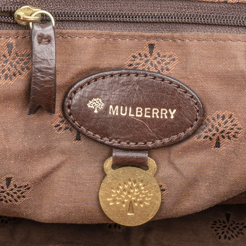 Mulberry Brown Buffalo Leather Small Alexa Satchel Handbag