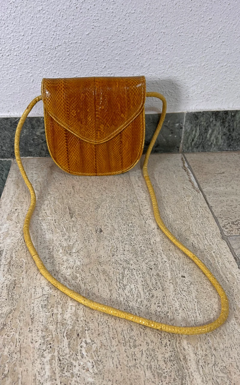 Vintage Snakeskin Bag