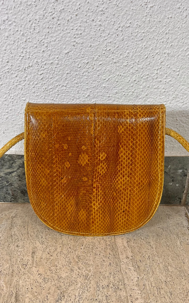 Vintage Snakeskin Bag