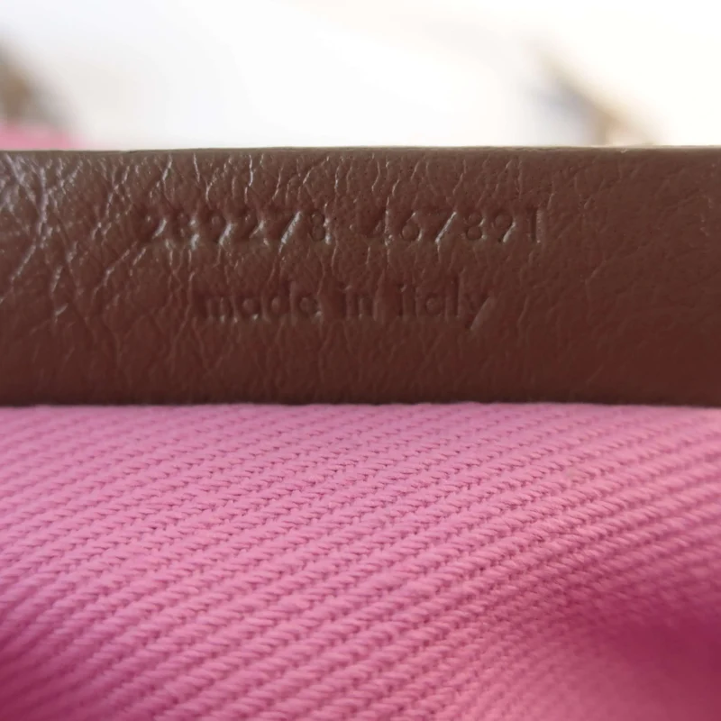 Yves Saint-Laurent Brown/Pink Muse Two Bag
