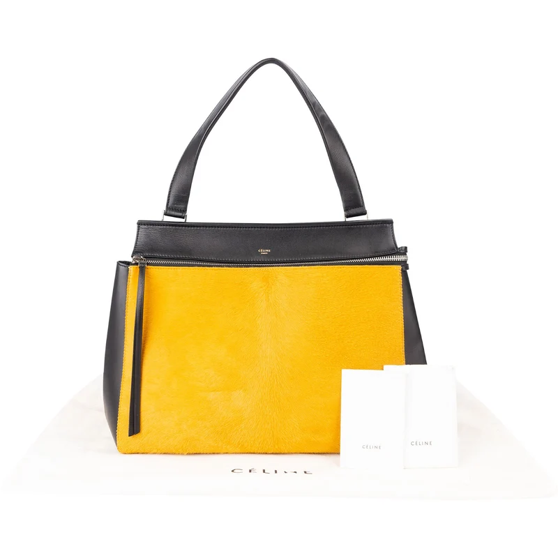 Céline Bicolor Calf Hair Edge Handbag