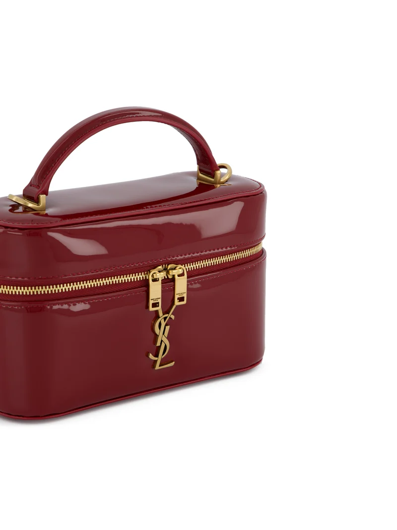 SAINT LAURENT Borsa Vanity Gaby
