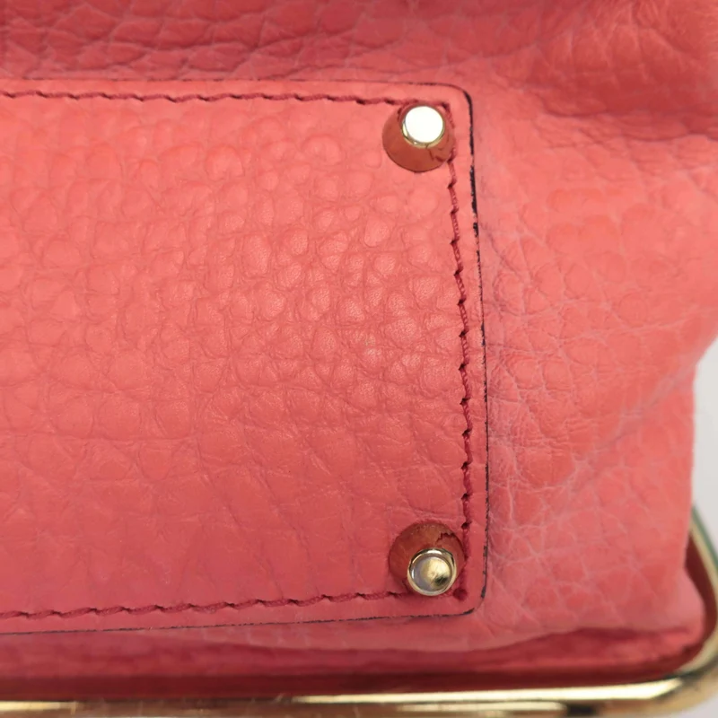 Chloe Sally Calf Leather Bag