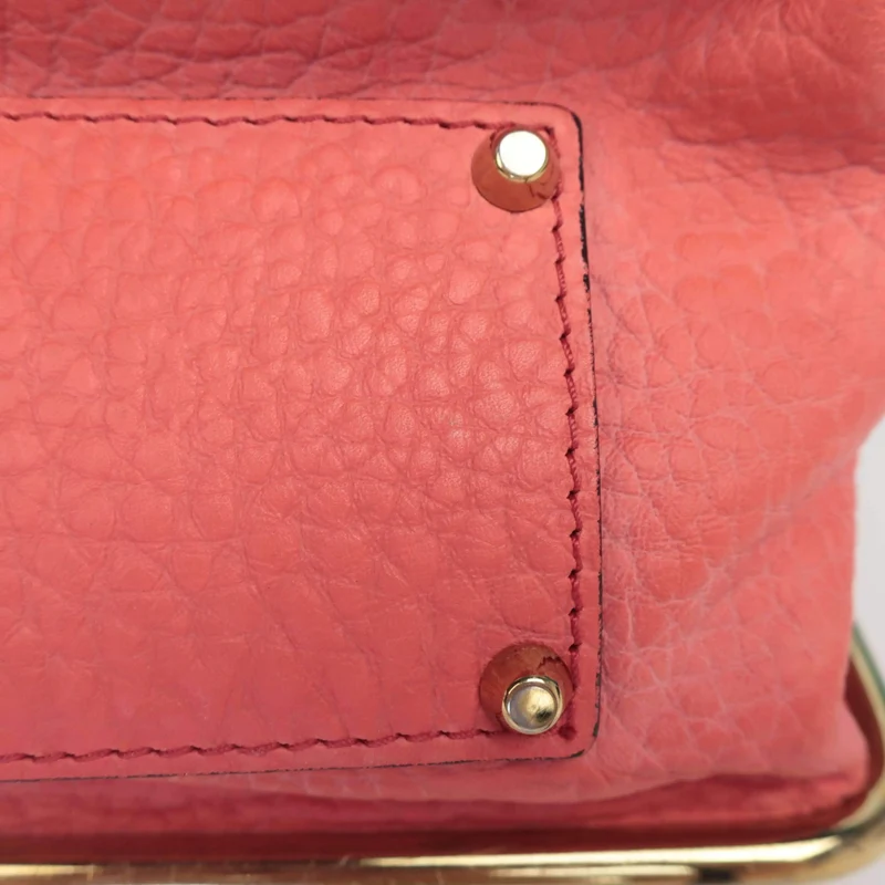 Chloe Sally Calf Leather Bag