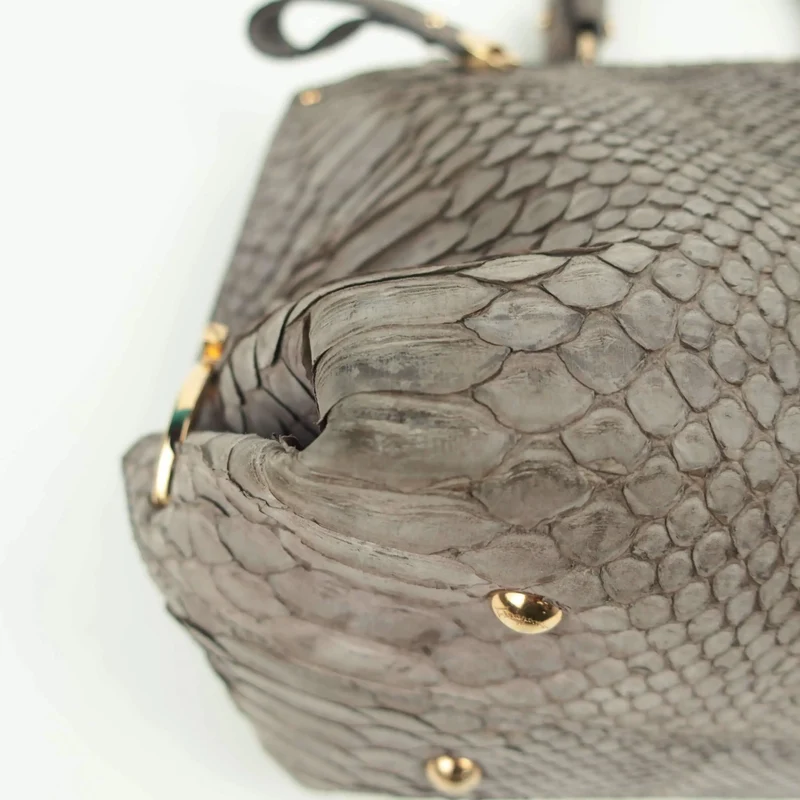 Salvatore Ferragamo Sofia Medium Python Bag