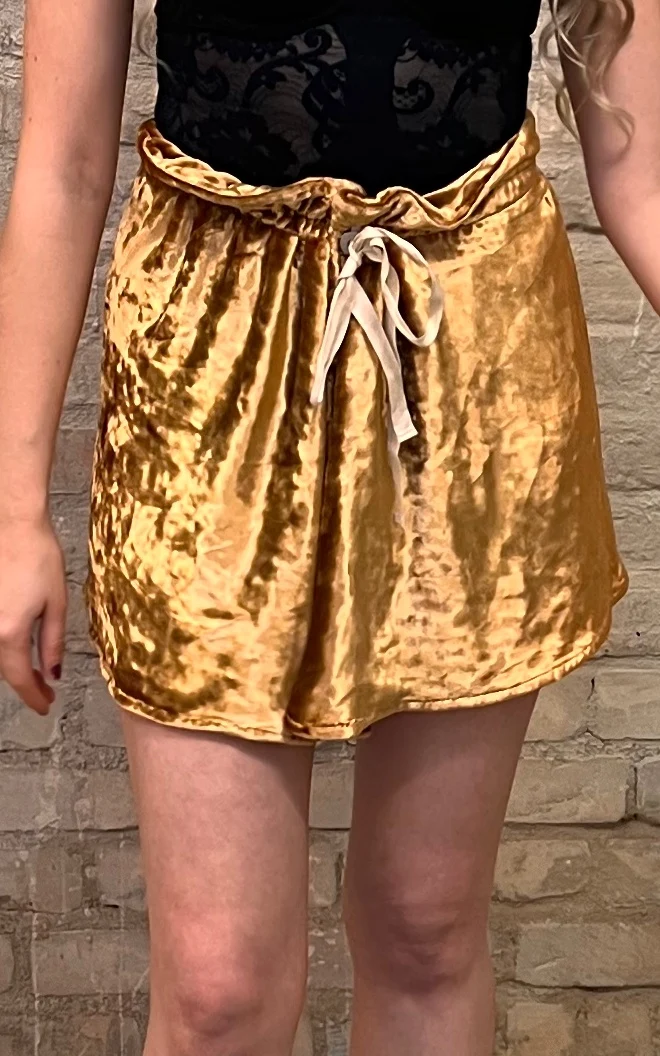 Golden Velvet Acne Studios Skirt 2016