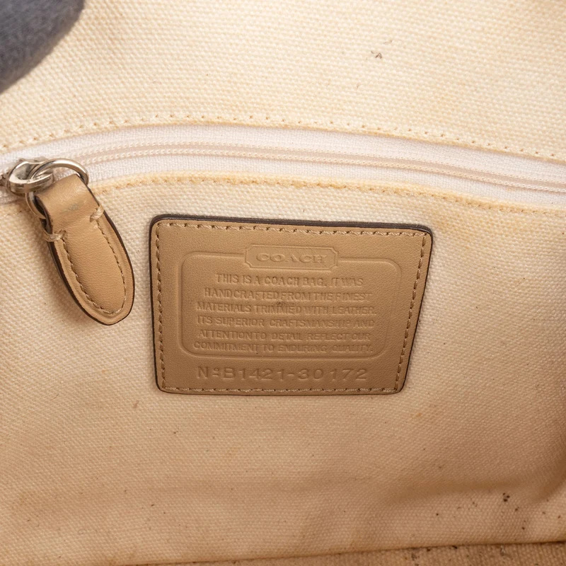Coach Colorblock Stripe Mini Dome Satchel Handbag