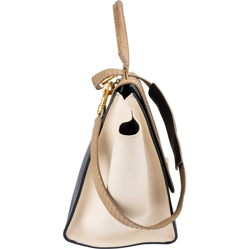 Céline Python Leather Tricolor Trapeze Handbag