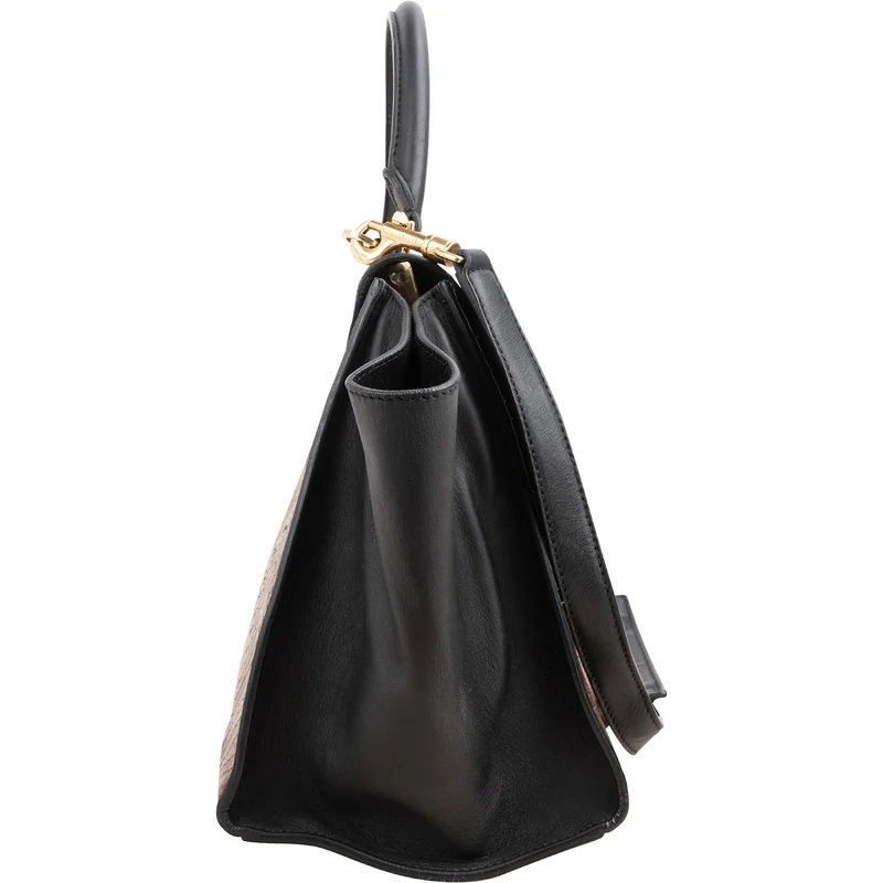 Céline Python Leather Trapeze Handbag