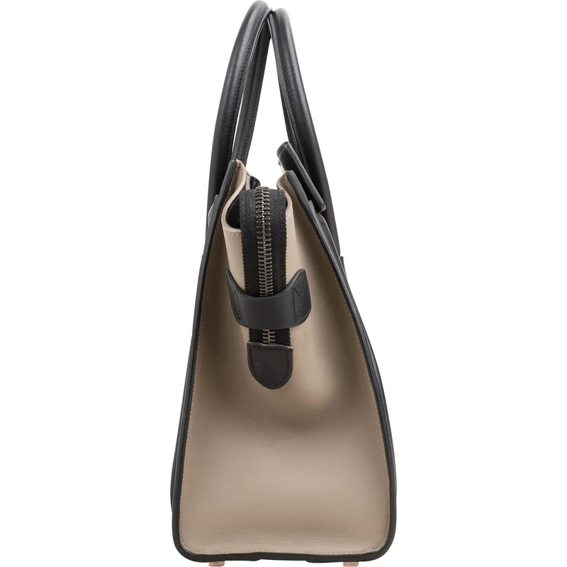 Céline Tricolor Leather Luggage Handbag