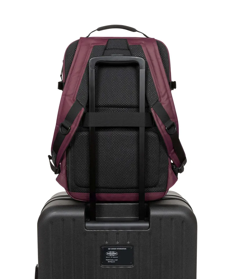 Eastpak Tecum M Rucksack cnnct fig