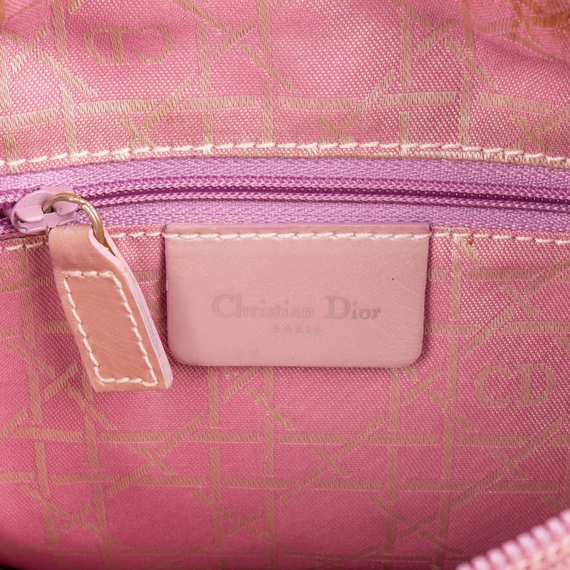 Christian Dior Nylon Cannage Transparent Lady Dior Handbag