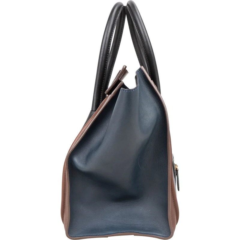 Céline Tricolor Leather Luggage Handbag