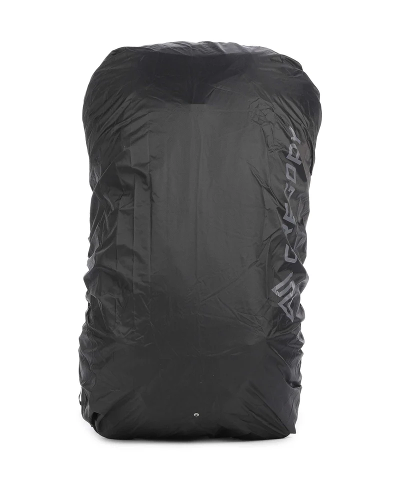 Gregory Arrio 30 RC Wanderrucksack sage grey