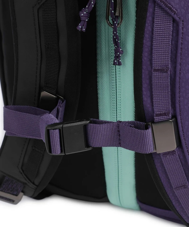 Db Roamer Pro 30 Reiserucksack black purple