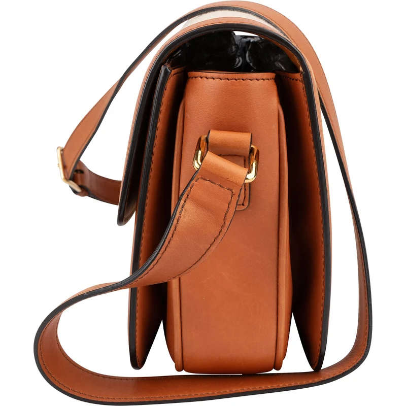 Celine Canvas & Calfskin Teen Triomphe Crossbody Bag