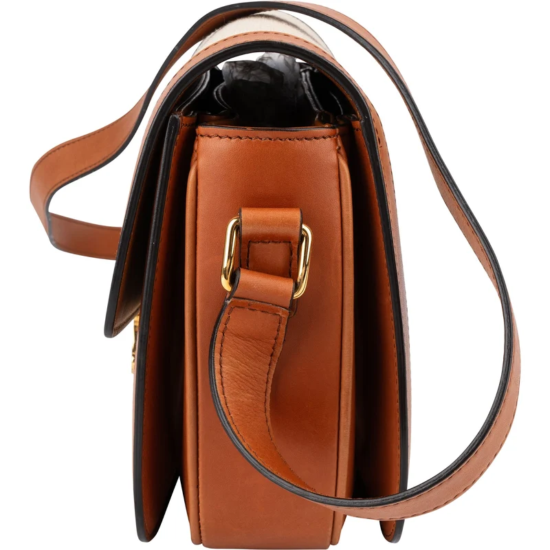 Celine Canvas & Calfskin Teen Triomphe Crossbody Bag