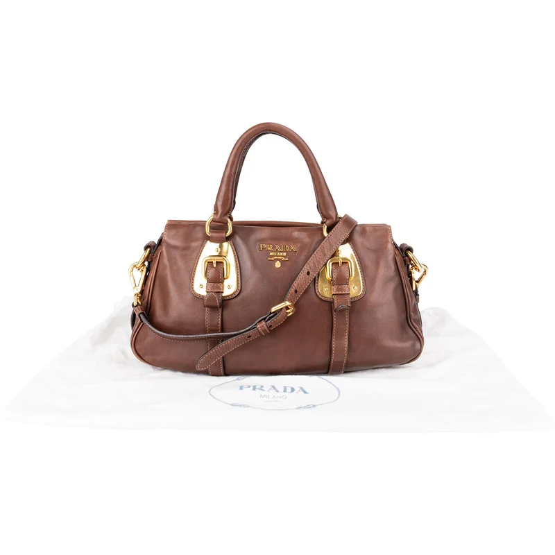 Prada Brown Calfskin Bowler Satchel Handbag