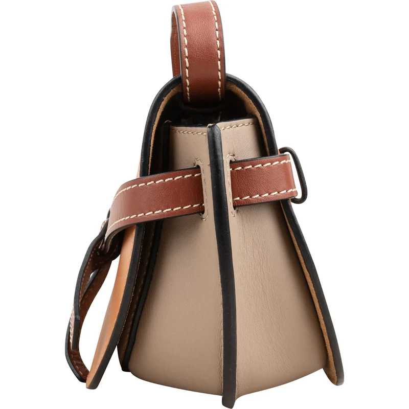 Loewe Tricolor Leather Mini Gate Crossbody Bag