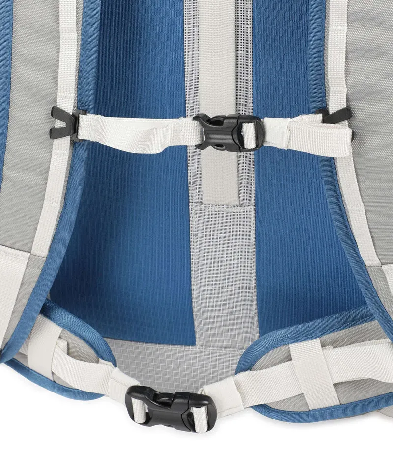 Patagonia Black Hole MCL Mini Reiserucksack birch white