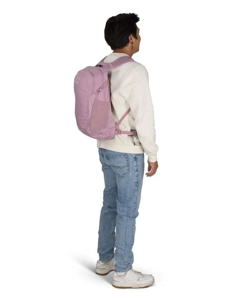 Osprey Daylite Rucksack iris pink