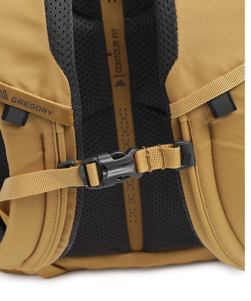 Gregory Terros 20 Rucksack desert ochre