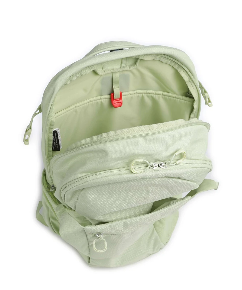 Osprey Daylite Plus Wanderrucksack pistachio