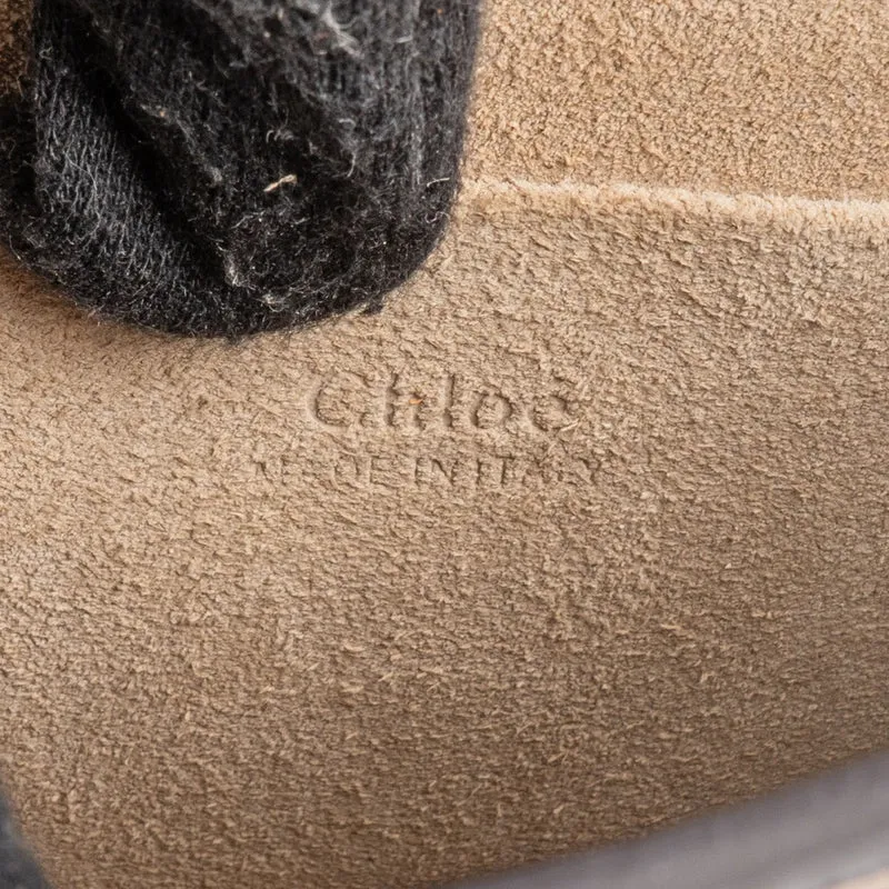 Chloé Grained Calfskin Suede Nile Small Crossbody Handbag