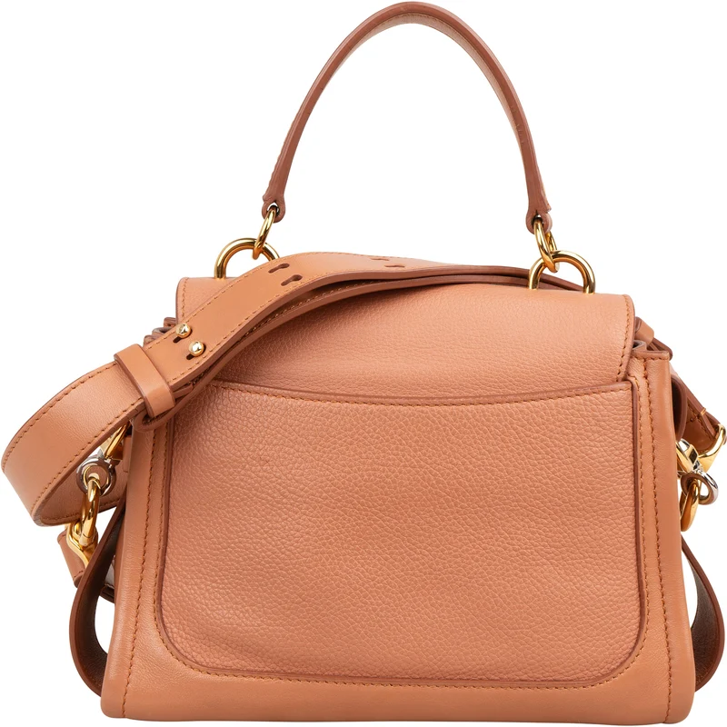 Chloé Grained Calfskin Tess Small Day Crossbody Handbag