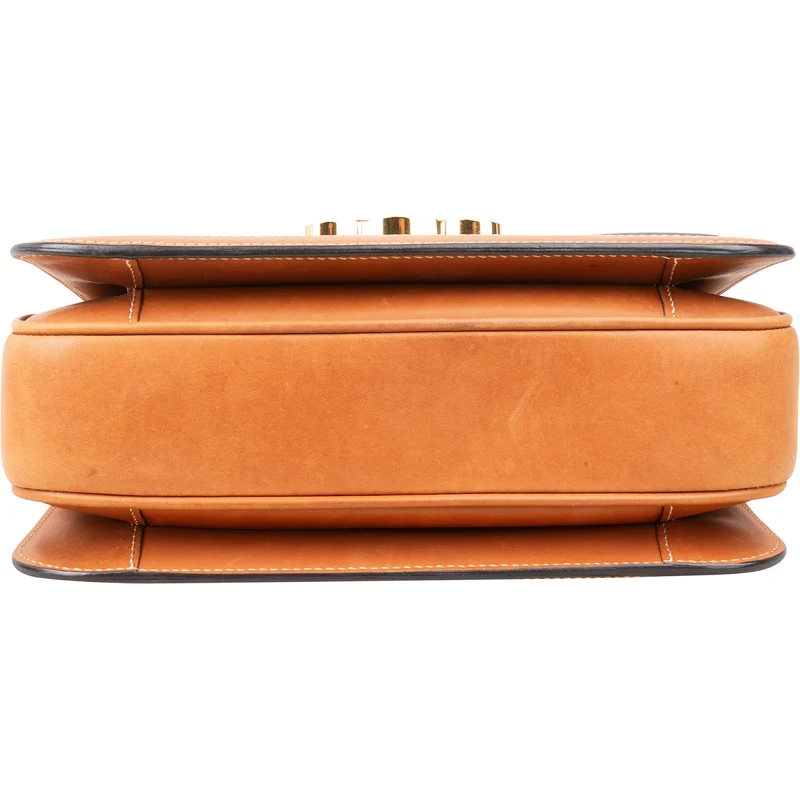 Celine Canvas Leather Triomphe Crossbody Bag