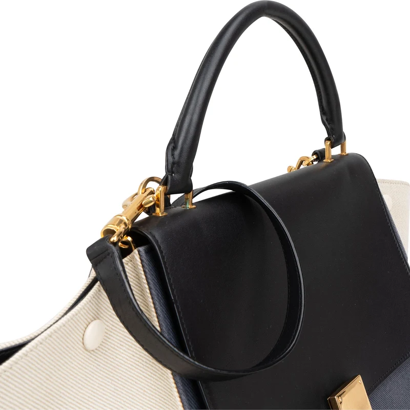 Céline Tricolor Leather and Canvas Trapeze Handbag