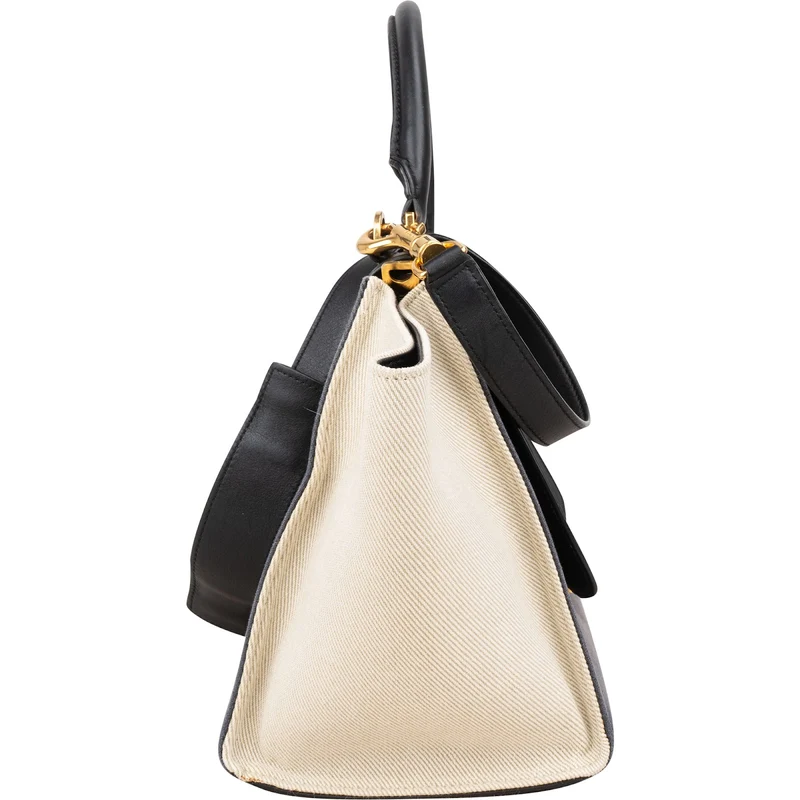 Céline Tricolor Leather and Canvas Trapeze Handbag