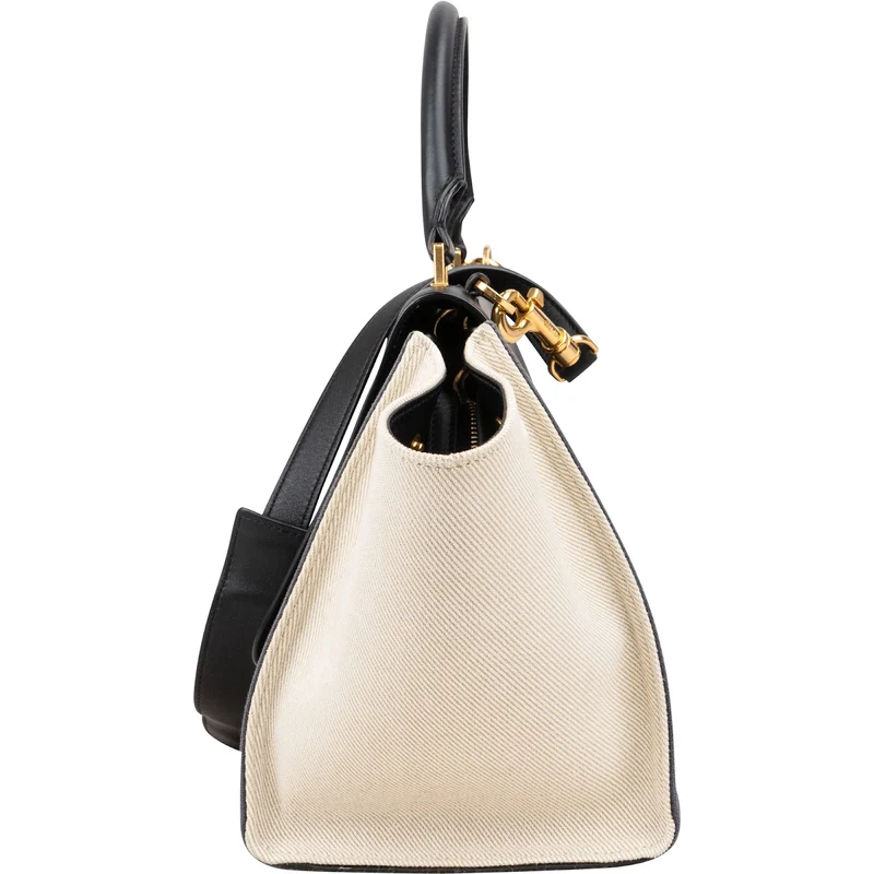 Céline Tricolor Leather and Canvas Trapeze Handbag