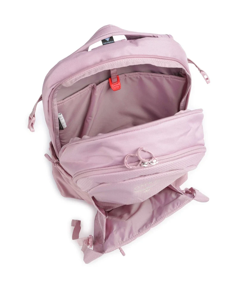 Osprey Daylite Plus Rucksack iris pink