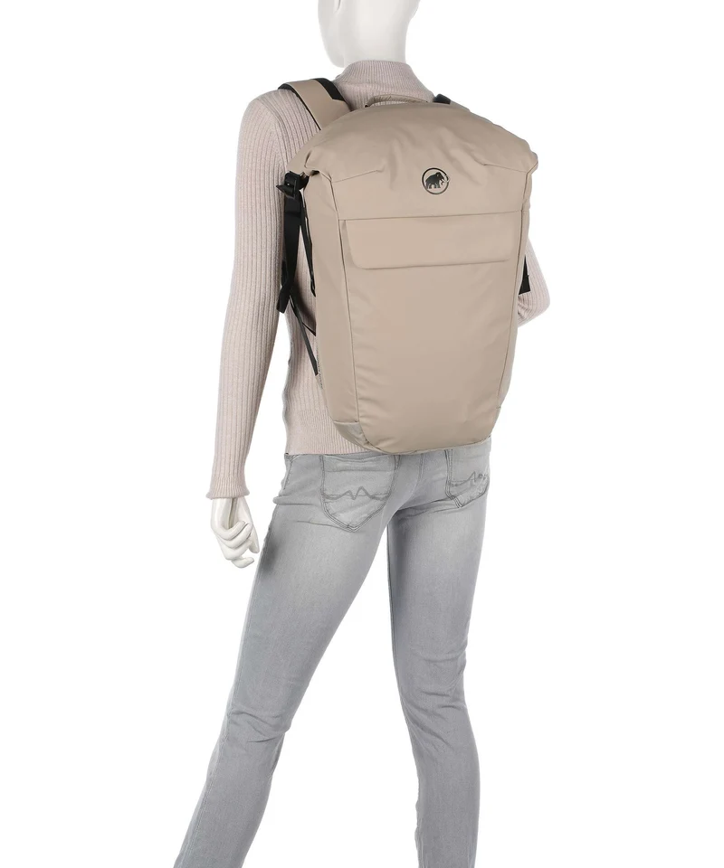 Mammut Seon Courier 20 Rucksack strata