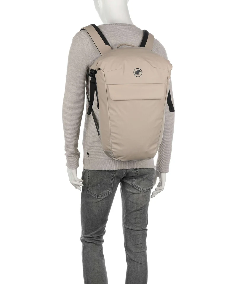 Mammut Seon Courier 20 Rucksack strata