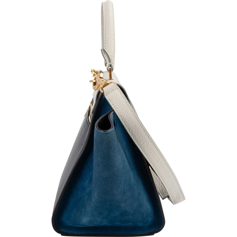 Céline Tricolor Leather Trapeze Handbag