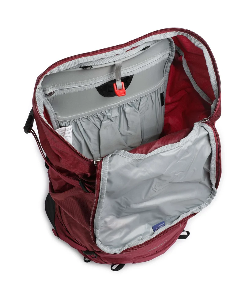Osprey Hikelite 32 M/L Wanderrucksack chameleon/black